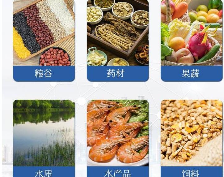 金年会金字招牌信誉至上